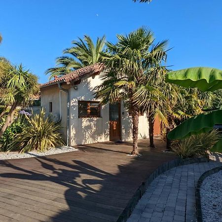 Guest House Au Milieu Des Palmiers Saint-Martin-de-Seignanx Exteriör bild